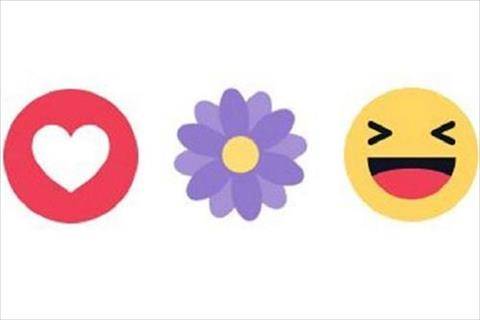 السر وراء ظهور «زهرة بنفسجية» في «فيسبوك»